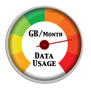 Avoid data usage limits with dedicated Internet access and private lines.